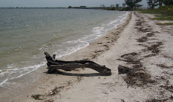 Sanibel Causeway