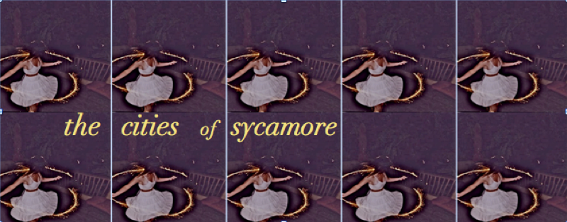 The Cities of Sycamore