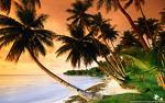 GET PAID TO PAINT IN PARADISE