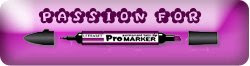 Winner at Passion for Promarkers