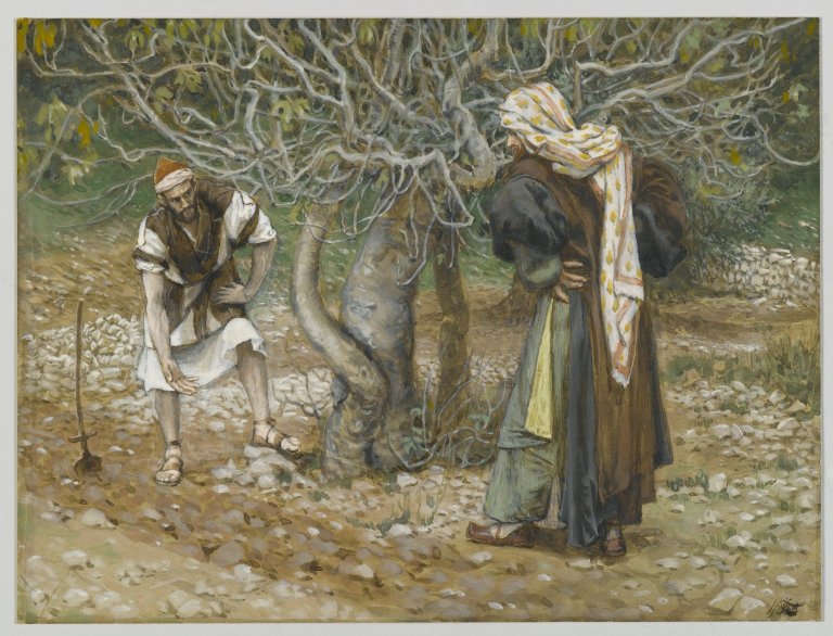 The parable of the fig tree. The parable of the fig tree