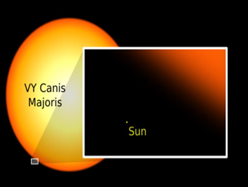 STARRY SKY: The Largest Star