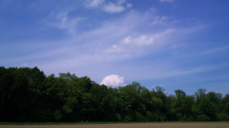 few landscapes during the trip . title=