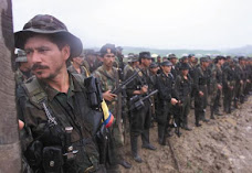 El conflicto armado en Colombia y la busqueda de la paz