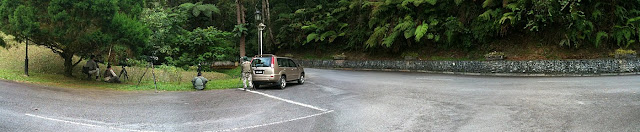 Waiting for Lesser Shortwing