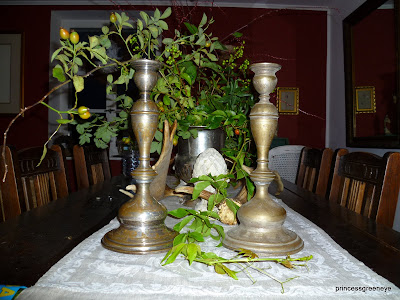 princessgreeneye: TV aus dem Schrank......