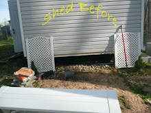 Before & Afters