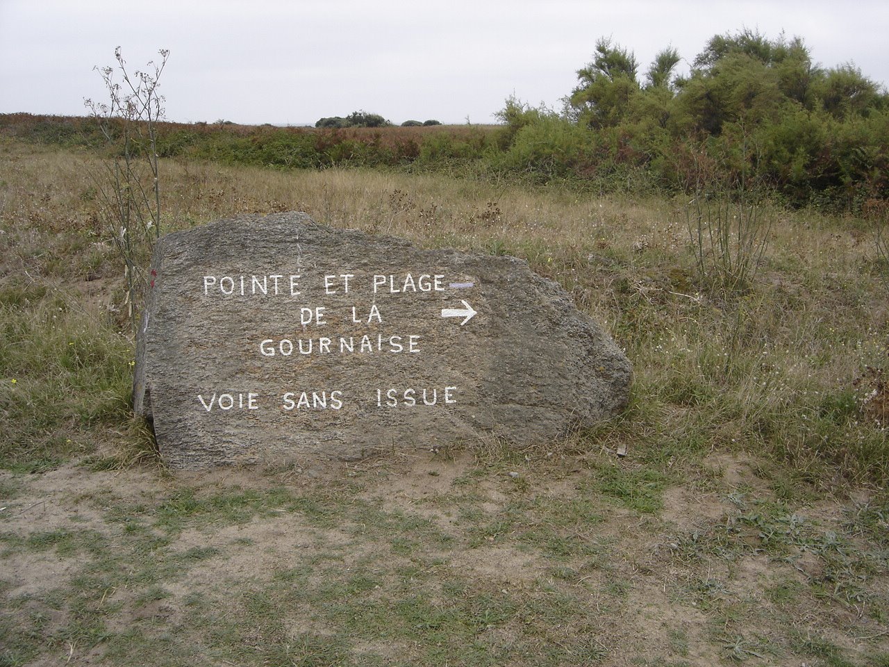 [DSC05407.JPG]