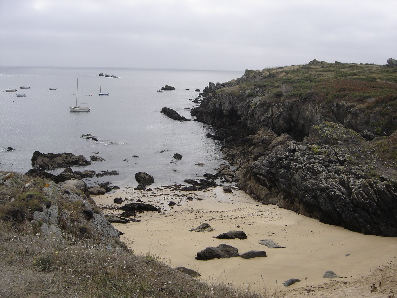 [DSC05435.JPG]