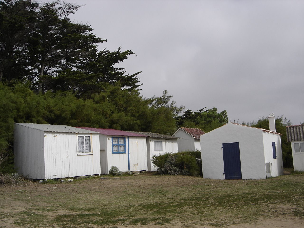 [DSC05442.JPG]