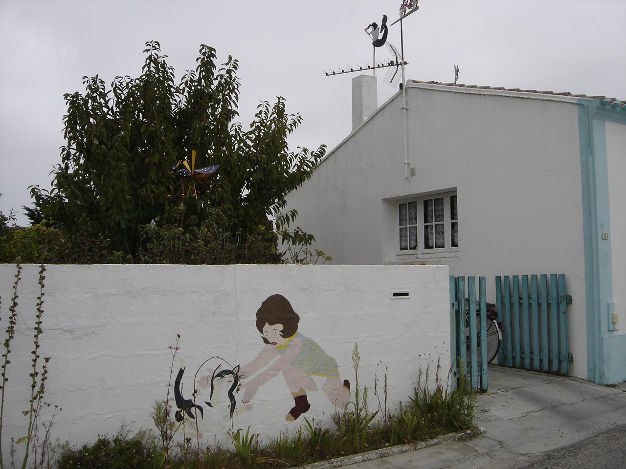 [DSC05450.JPG]