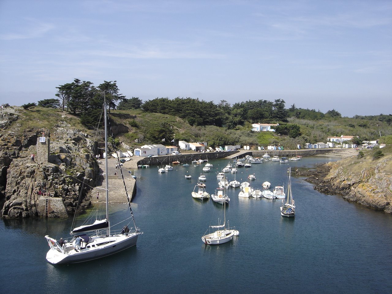 [DSC05485.JPG]