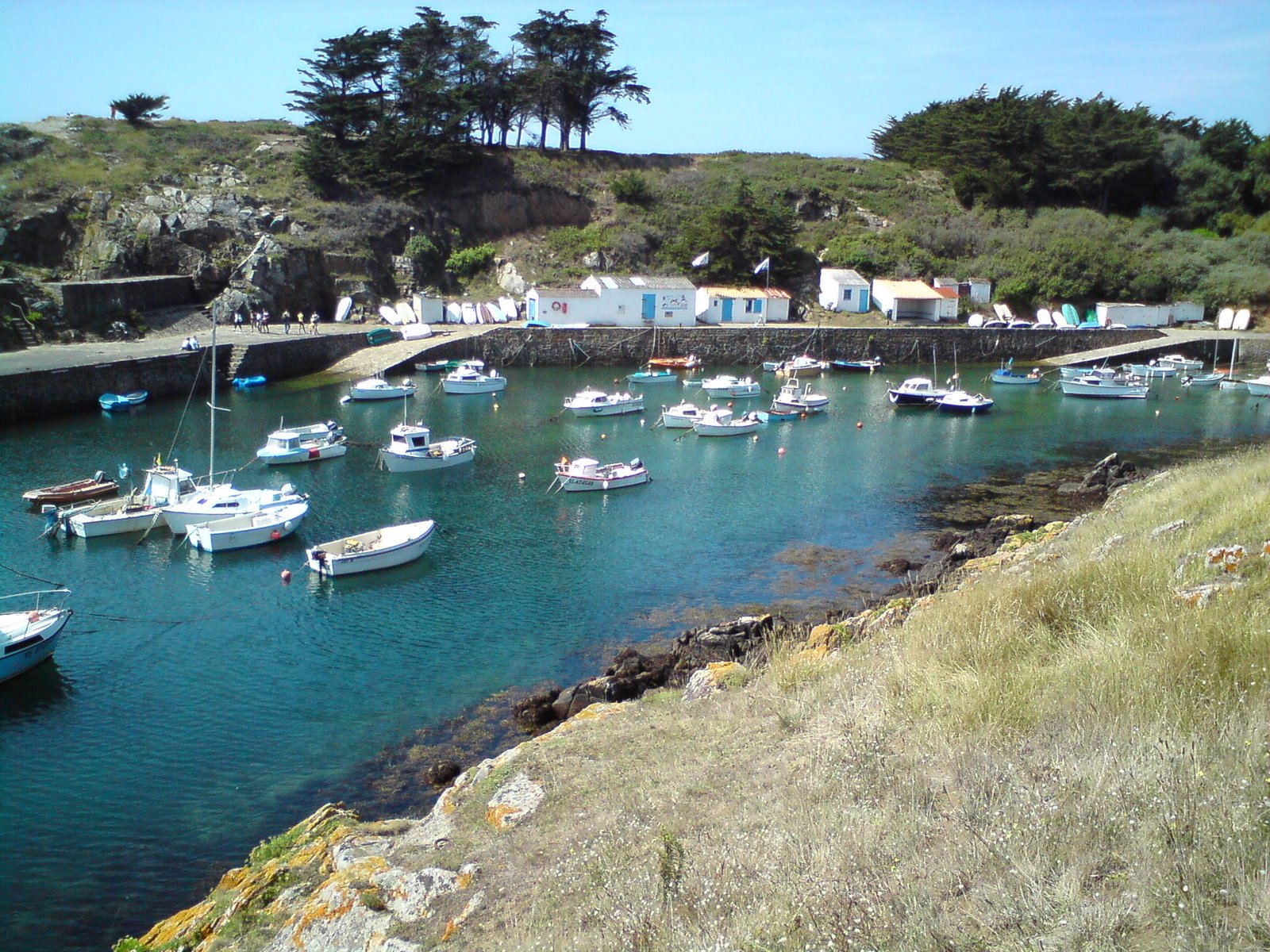 [DSC00014.JPG]