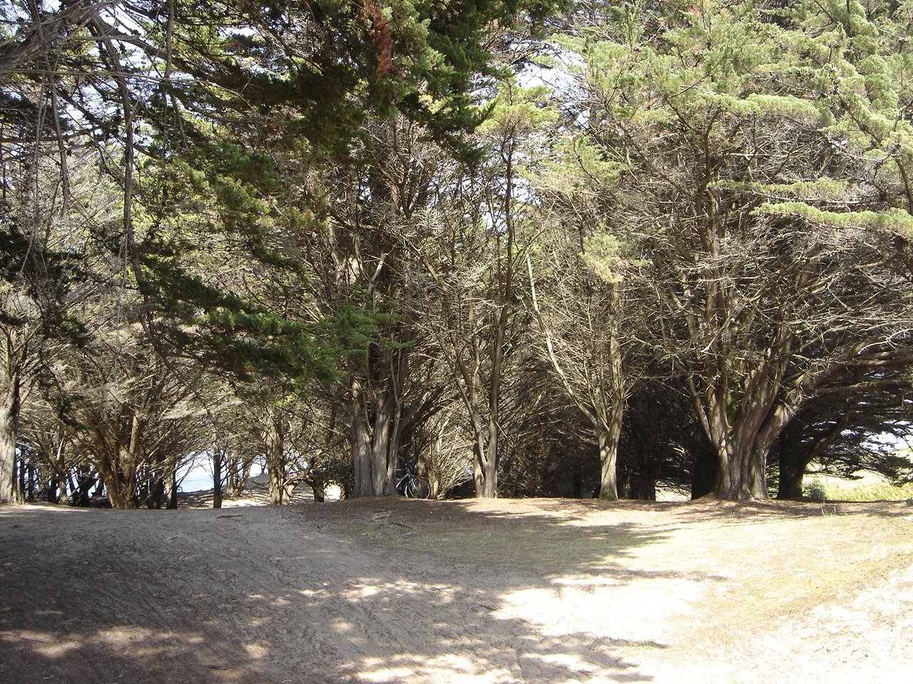[DSC05521.JPG]
