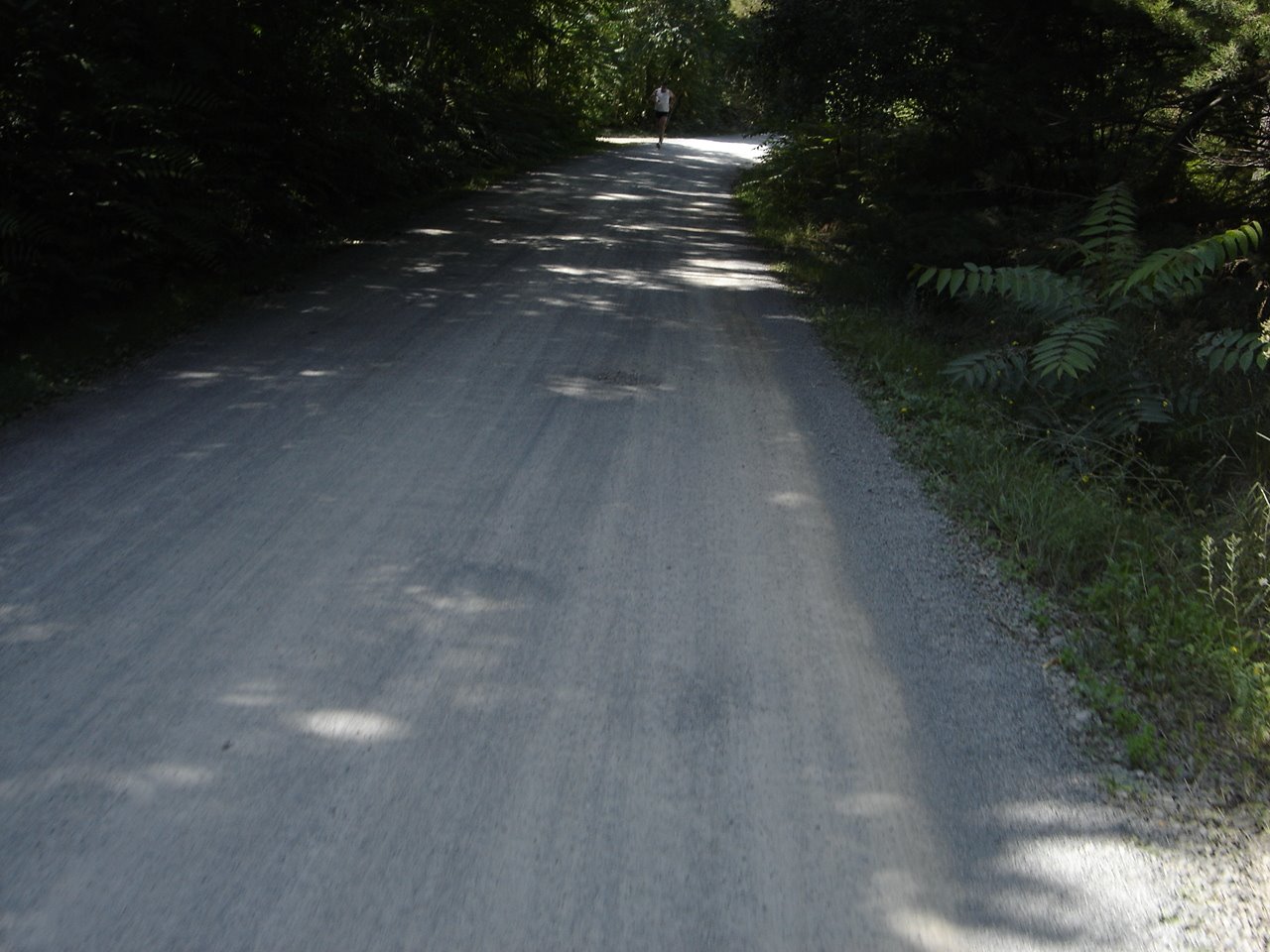[DSC05515.JPG]