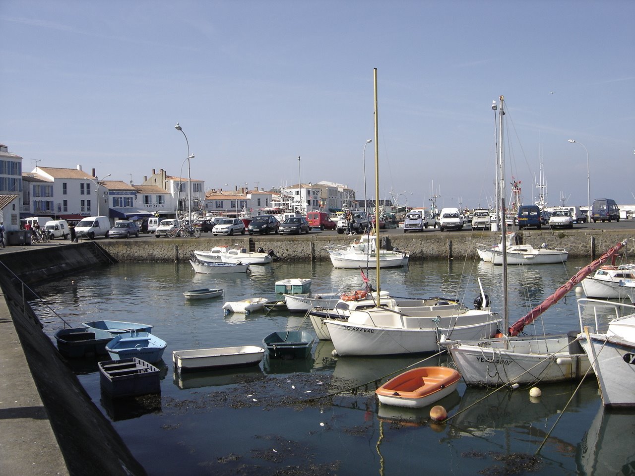 [DSC05532.JPG]
