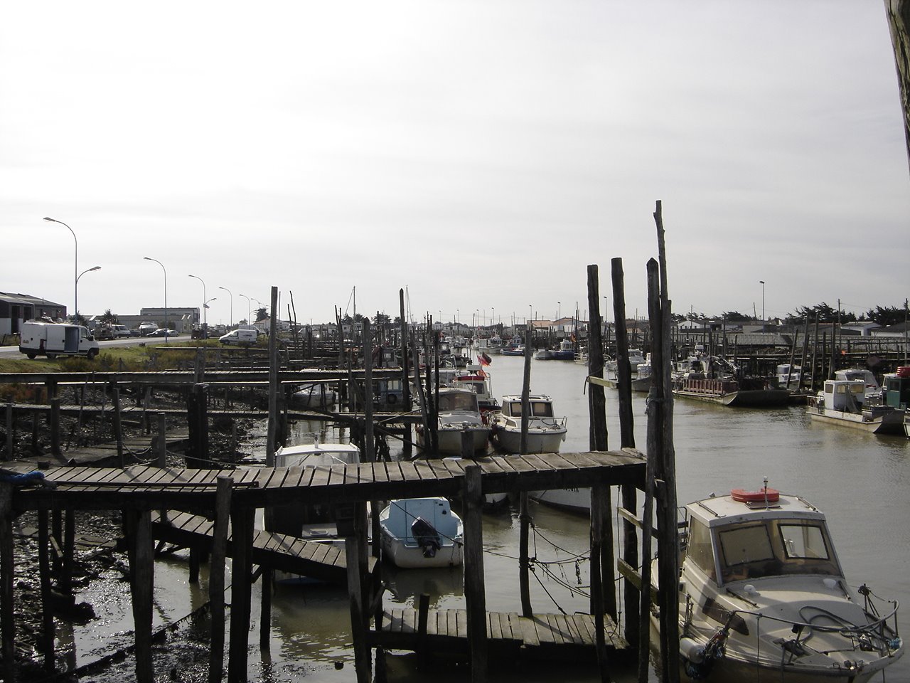 [DSC05689.JPG]