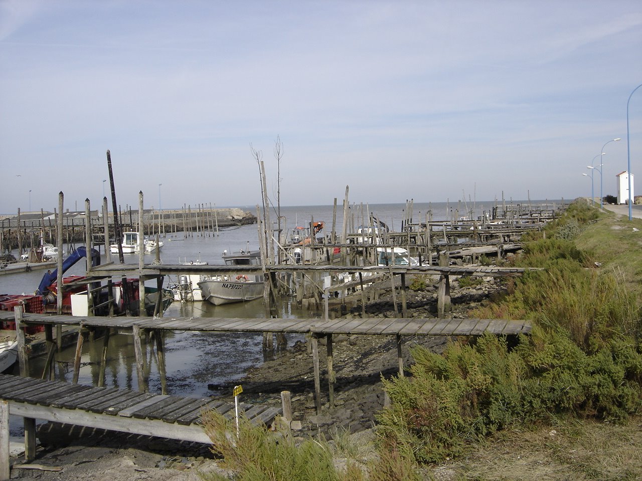 [DSC05690.JPG]