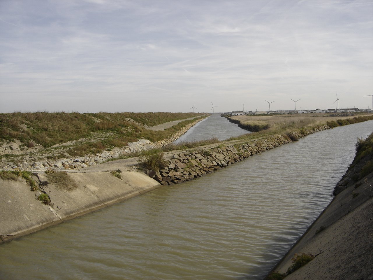 [DSC05683.JPG]