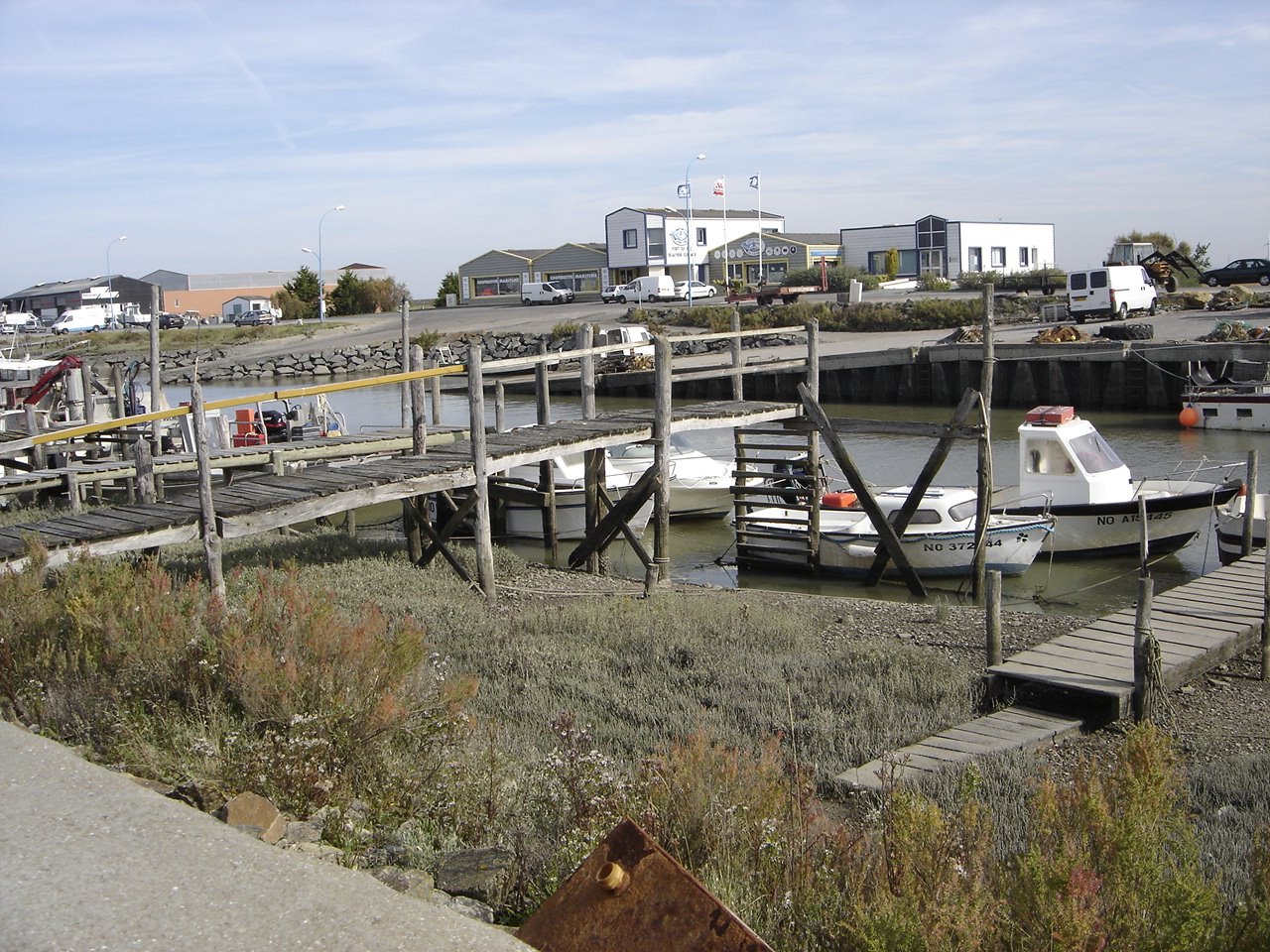 [DSC05700.JPG]
