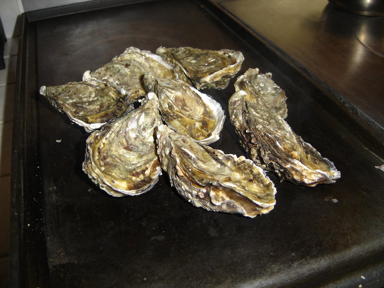 [DSC05714.JPG]
