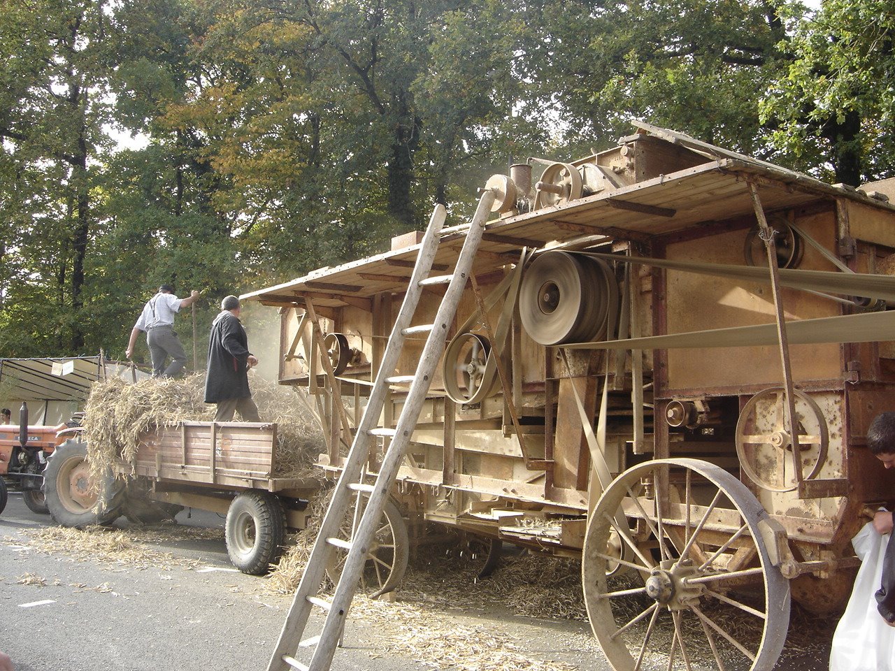 [DSC05883.JPG]