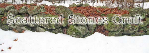 Scattered Stones Croft