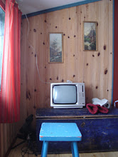 Arm"s Reach Cabin HQ