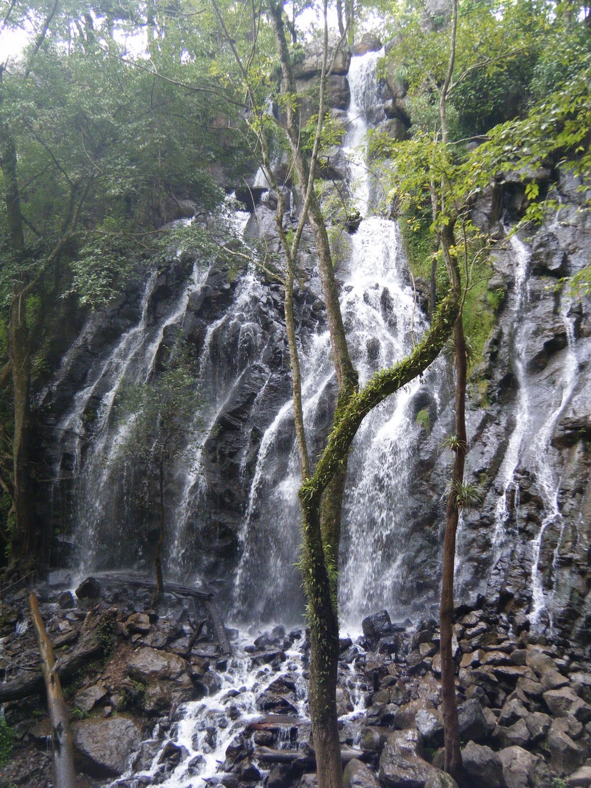 [DSCF0721.JPG]