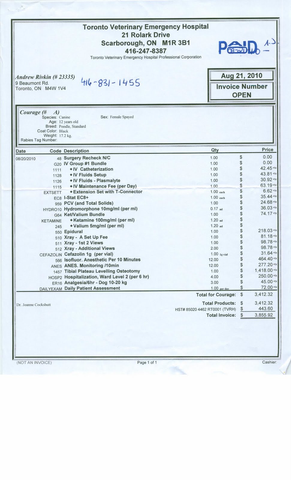 hospital invoice template invoice template 2017 2018 best cars reviews hospital invoice template invoice template 2017 2018 best cars reviews