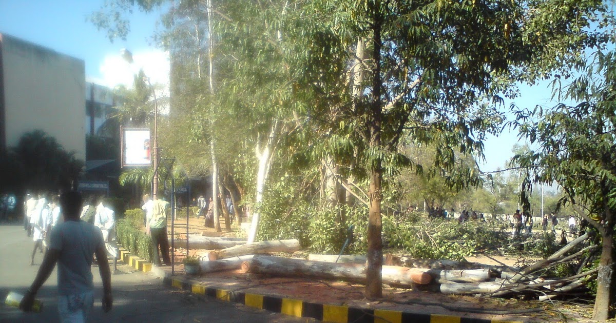 Go Green Becoming "go AWAY Green"