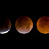 Total Lunar Eclipse - December 21, 2010