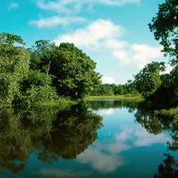 Amazonas Rio De Mi Vida Espejo De Dios La Realidad En El Espejo la realidad en el espejo blogger