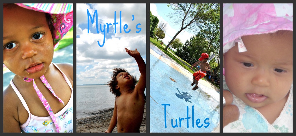 Myrtle's Turtles