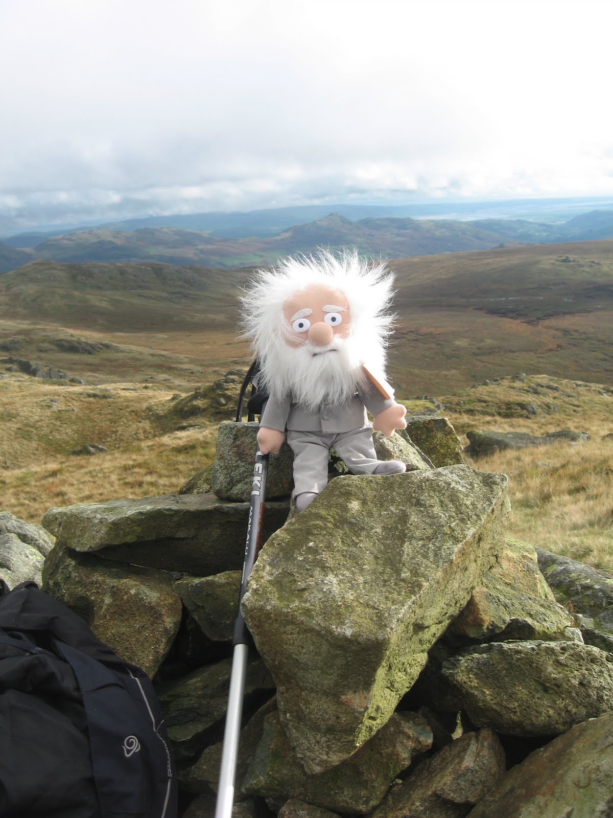 Darwin Doll
