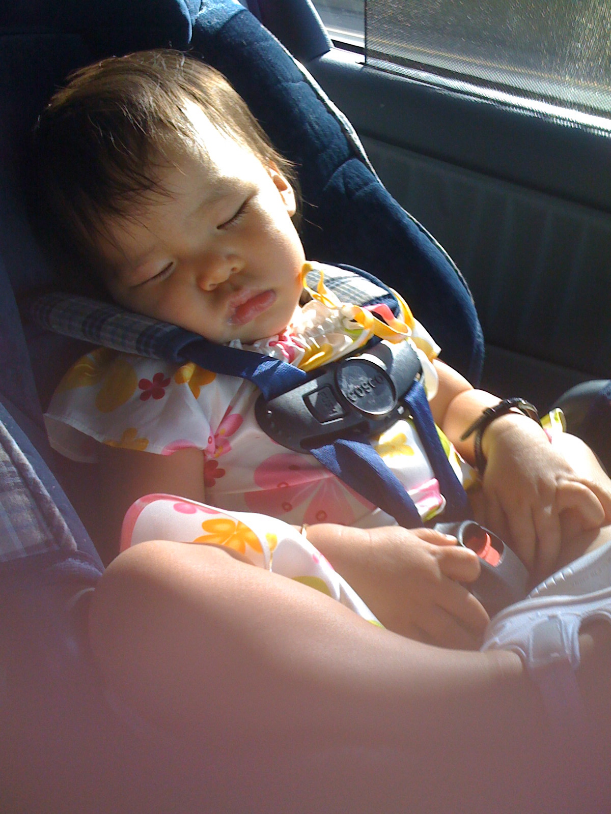 [IMG_0075.JPG]