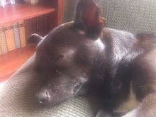 Lacie Asleep