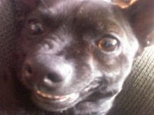 Lacie Obviously was not Ready for her Close Up.