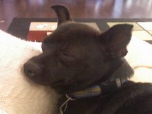 Lacie Once Again, Sleeping