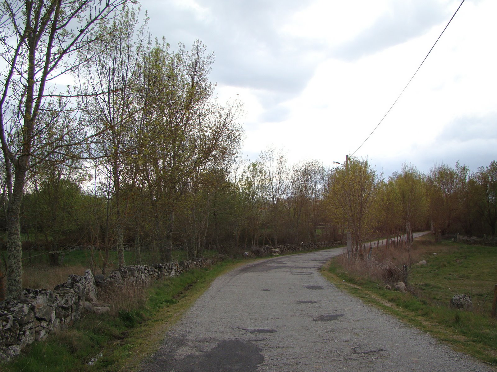 [DSC00954.JPG]