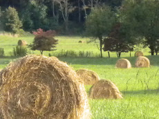 the top of the world