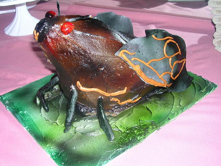 [Jessica+D+.+lw+.+cicada.jpg]