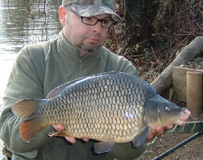fish baby common carp. common carp drawings. fish baby common carp.