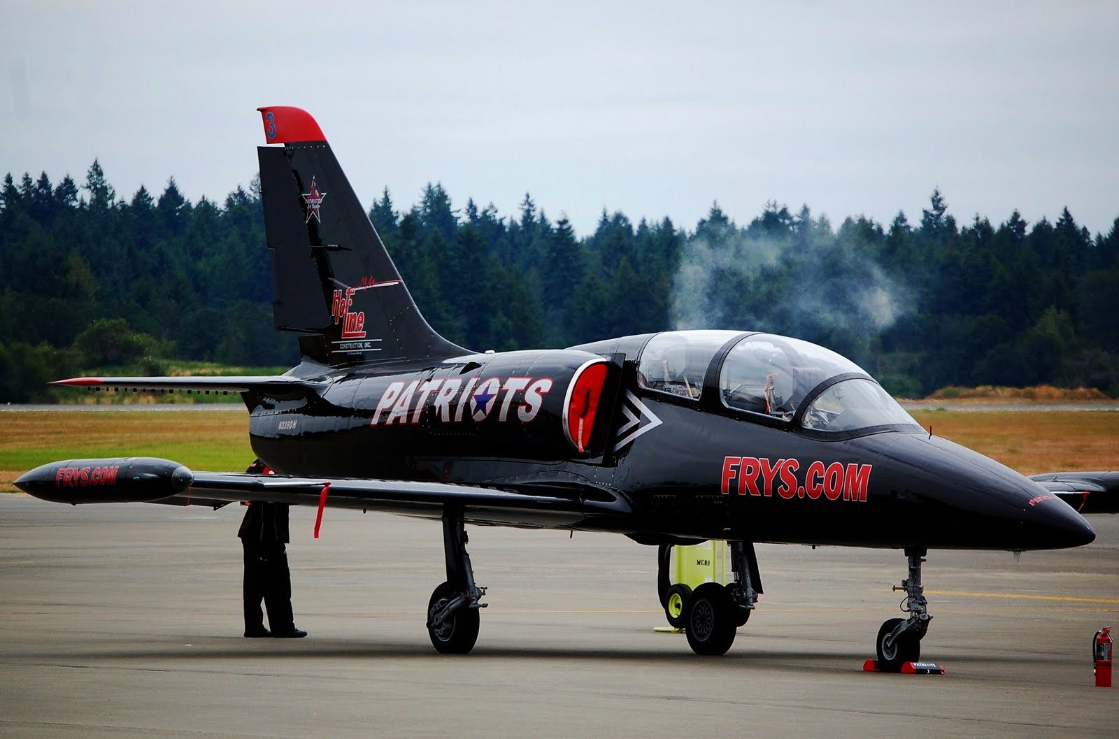 Blueberry lion Air Show at McChord AFB