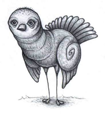 turkey bird copy turkey bird copy