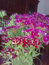 flores del bosque o sea silvestres