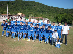 Campeonato Amador 1ª Divisão 2010-LID