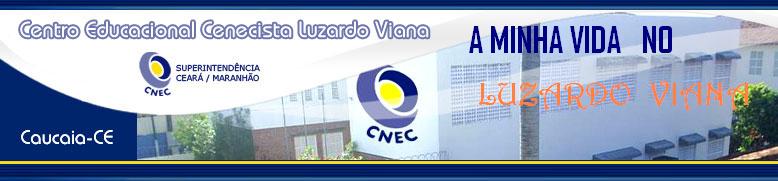 A MINHA VIDA NO LUZARDO VIANA