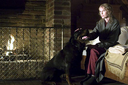 [18643043_w434_h_q80.jpg]