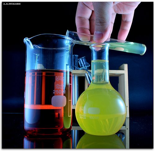 [3043693388_f962c3e52b.jpg]